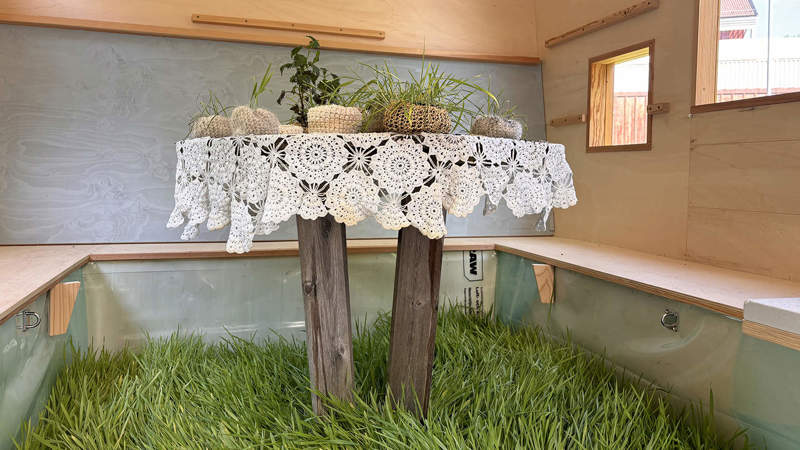 Korn som växer inne i Tiny House