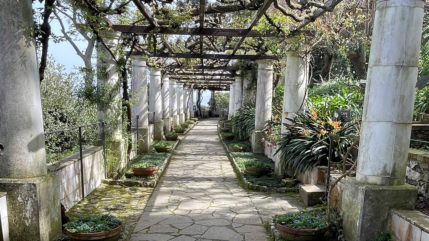 Vacker trädgård på Capri